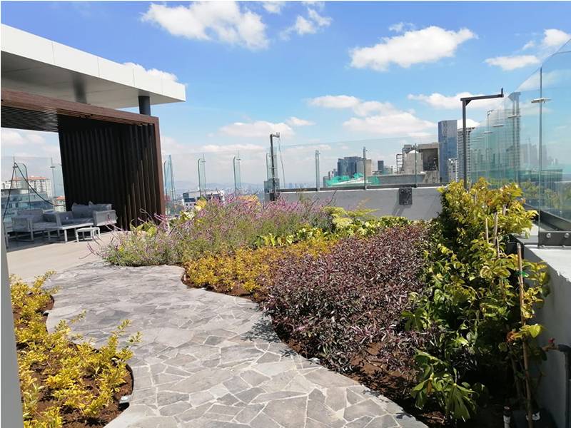 Renta Venta Departamento amenidades Over Santa Fe