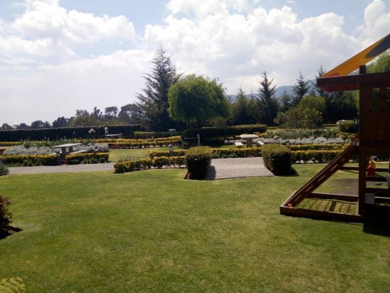 Jardín con área de juegos infantiles Amenidades de Stampa Santa Fe Renta Venta