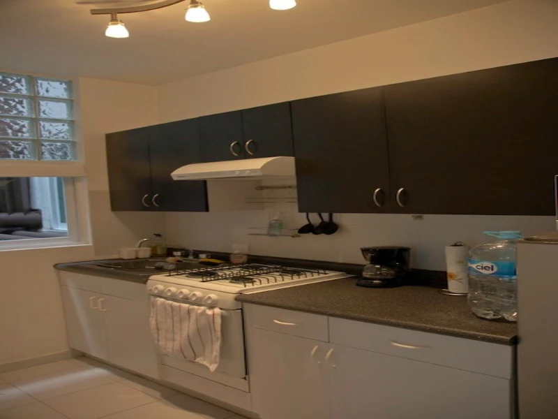 Cocina equipada renta Polanco