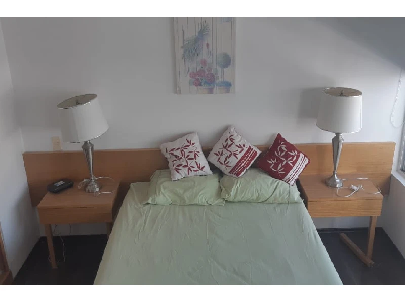 Execelente recara principal amueblada Depto Polanco