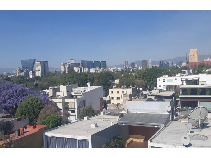 Preciosa vista desde Depa en Polanco