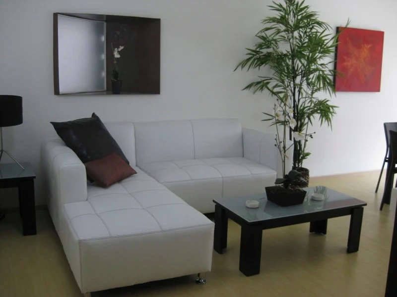 Amoblado y equipado en Polanco renta