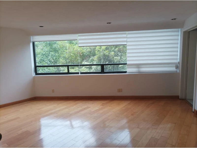 Estancia amplia de bosques de canelos